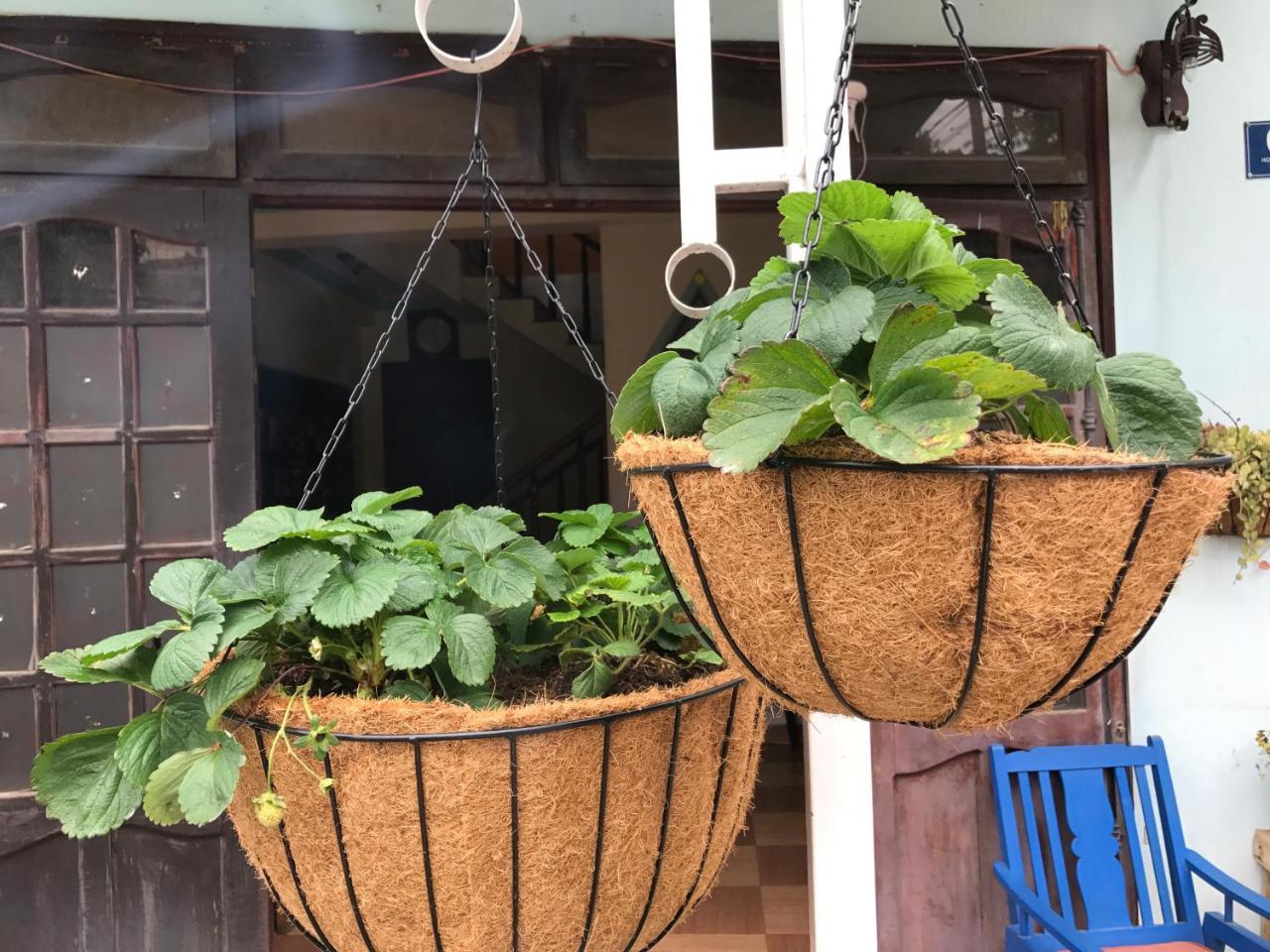 Dalat Coffee House Homestay Екстер'єр фото