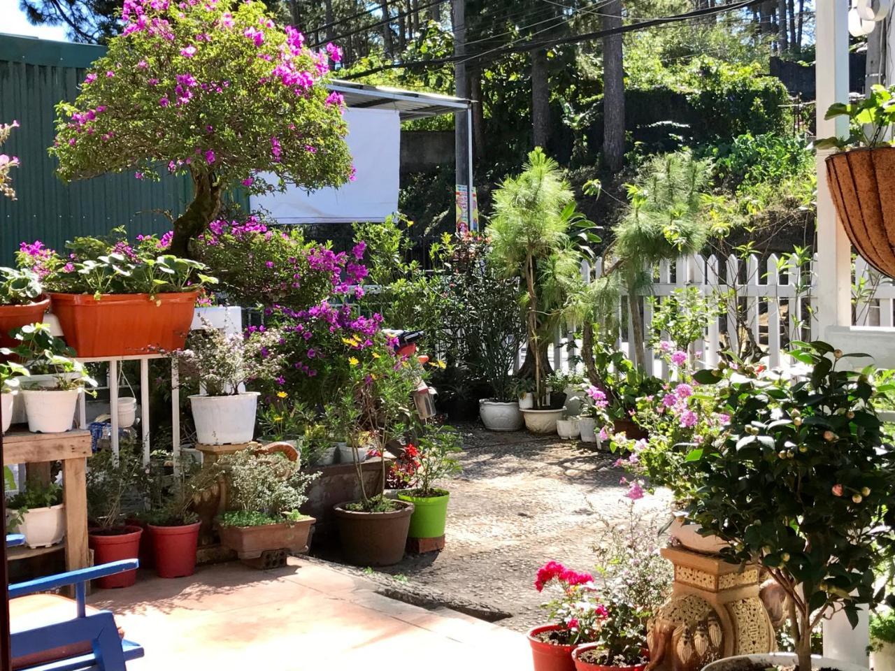 Dalat Coffee House Homestay Екстер'єр фото